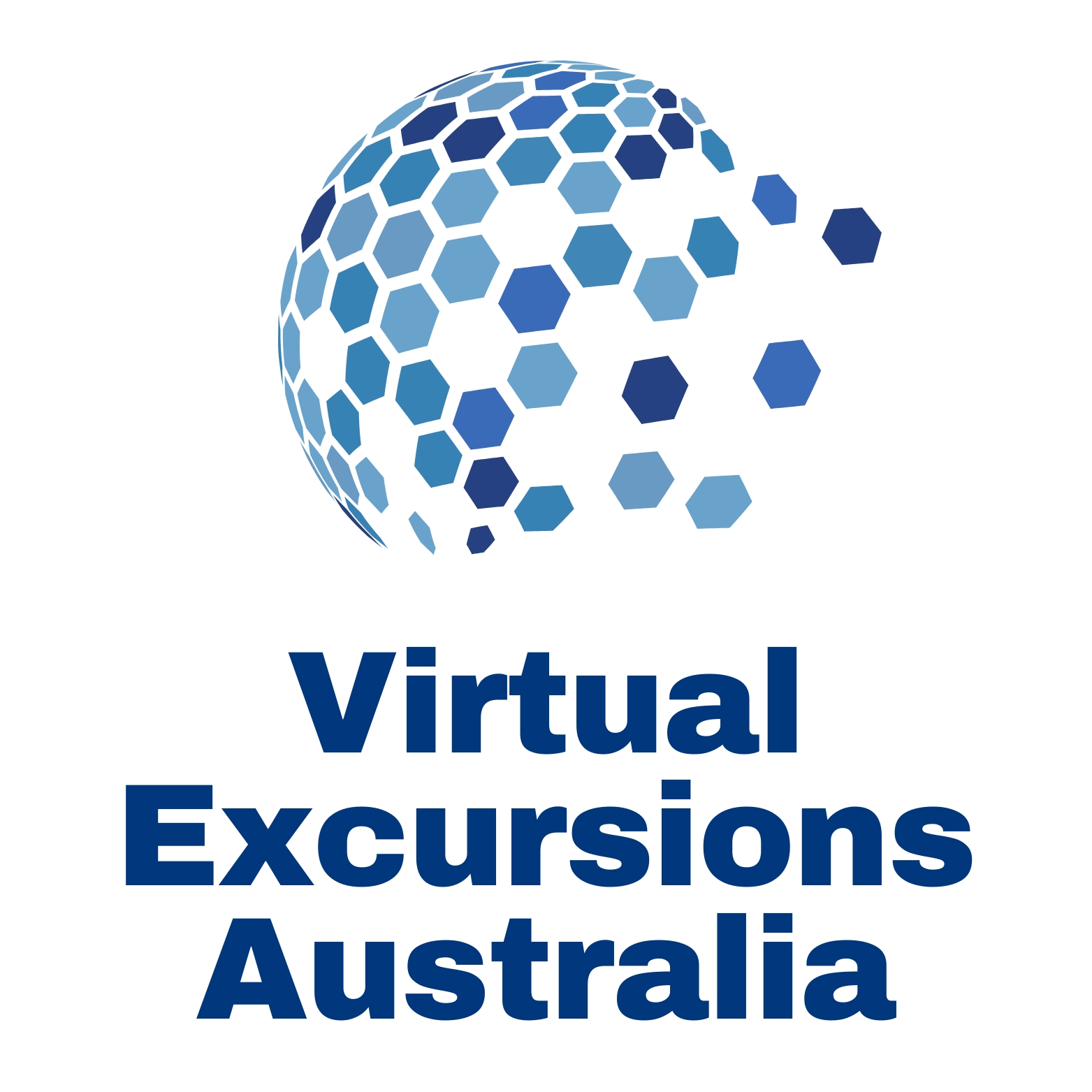 Virtual Stem Academy