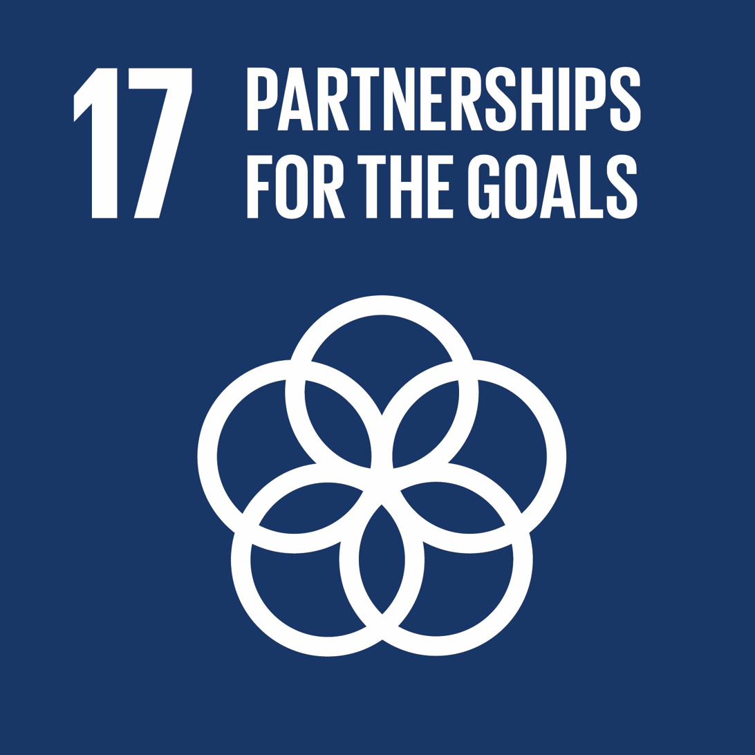 SDG 17: Partnerships
